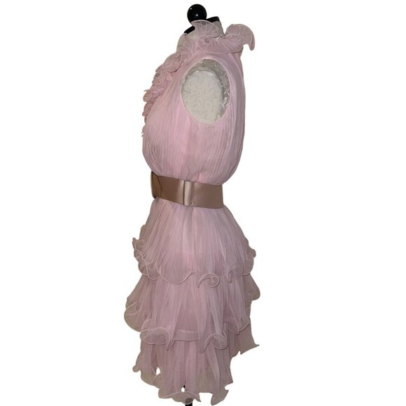 Miss Elliette California Vintage Womens Dress Size Small Pink Chiffon Tiered - Picture 2 of 16
